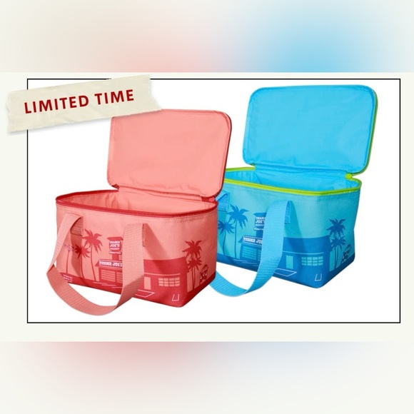 Nwt Trader Joe Colorful Insulated Lunch Bag - Picture 1 of 2